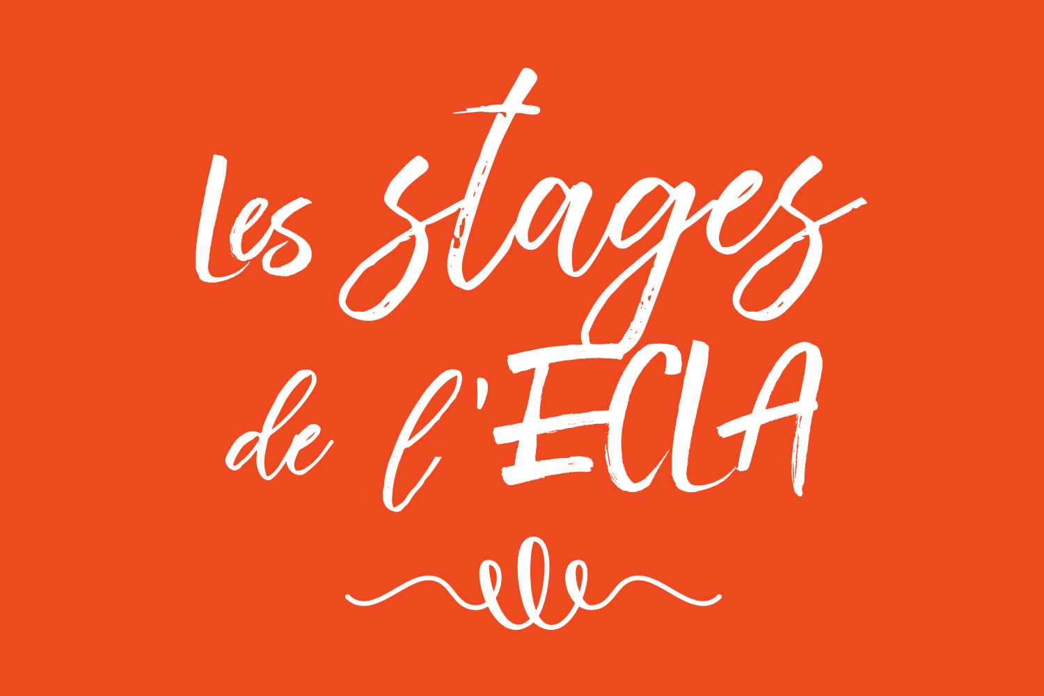 Les stages de l'ECLA
