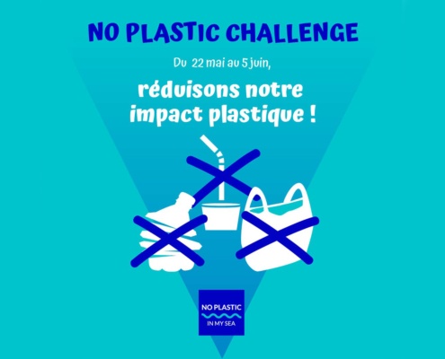 Bannière No Plastic Challenge