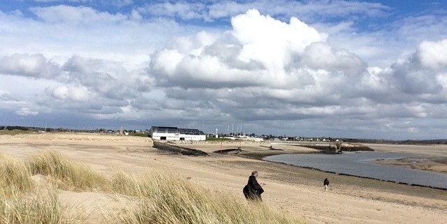 Paysage de bord de mer