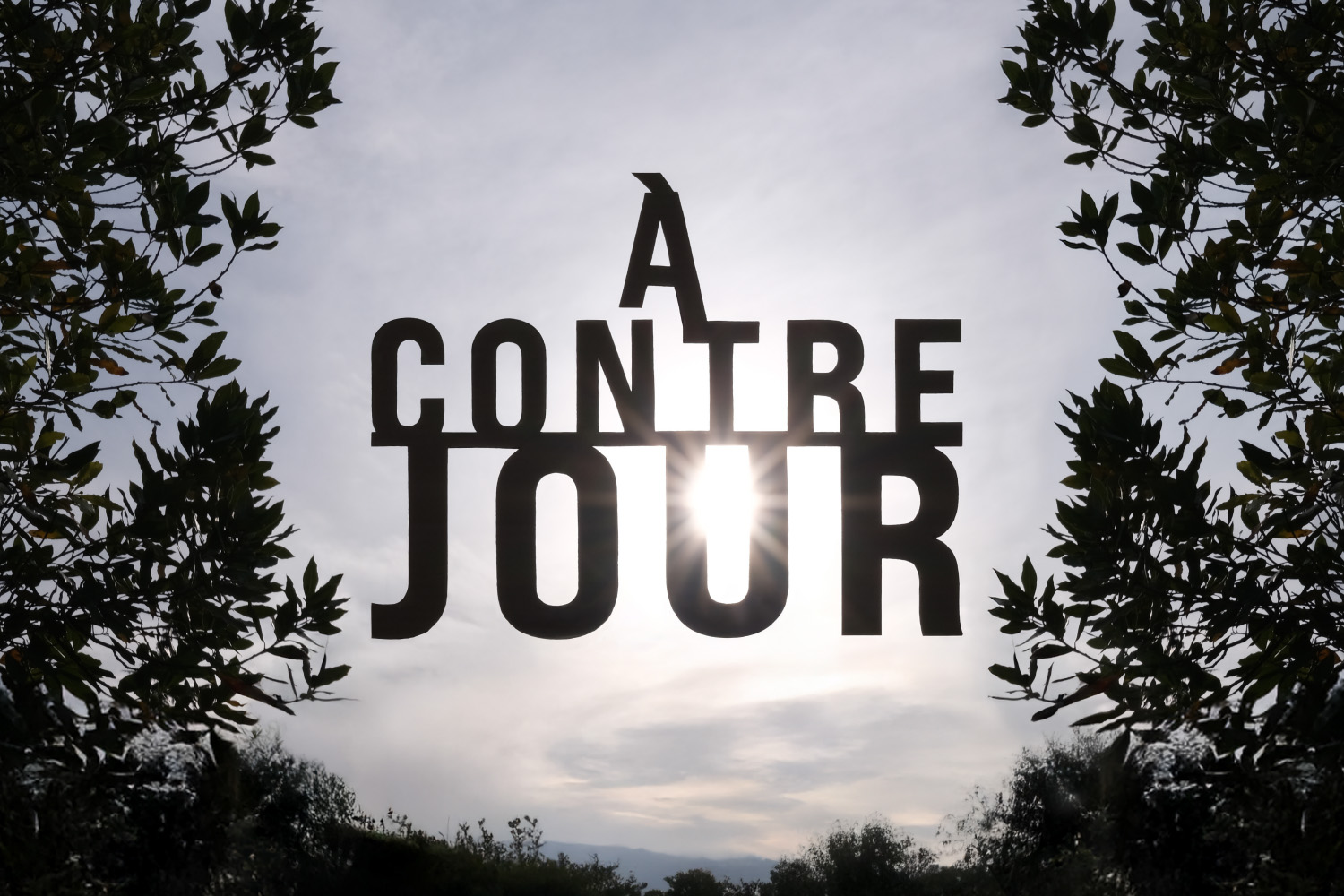 À contre-jour
