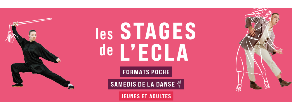 Les stages de l'ECLA