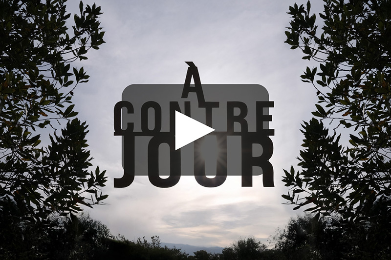 A contre-jour